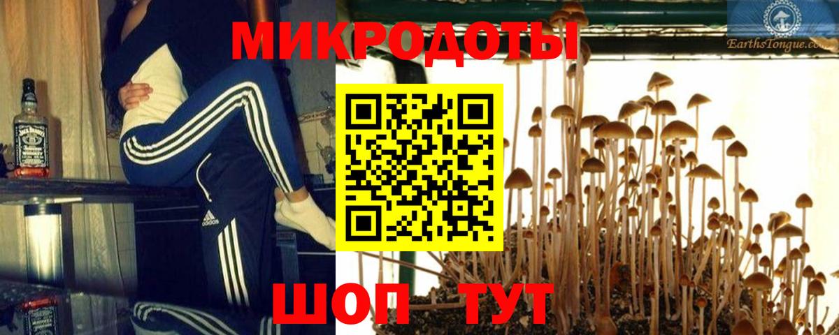 Псилоцибиновые грибы Cubensis  Вход с VPN  Нижнеудинск  Галлюциногенные грибы MAGIC MUSHROOMS 